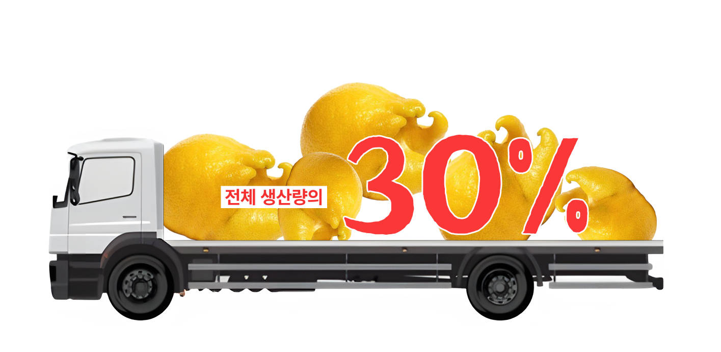못난이 농산물