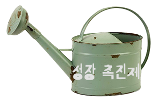 성장 촉진제